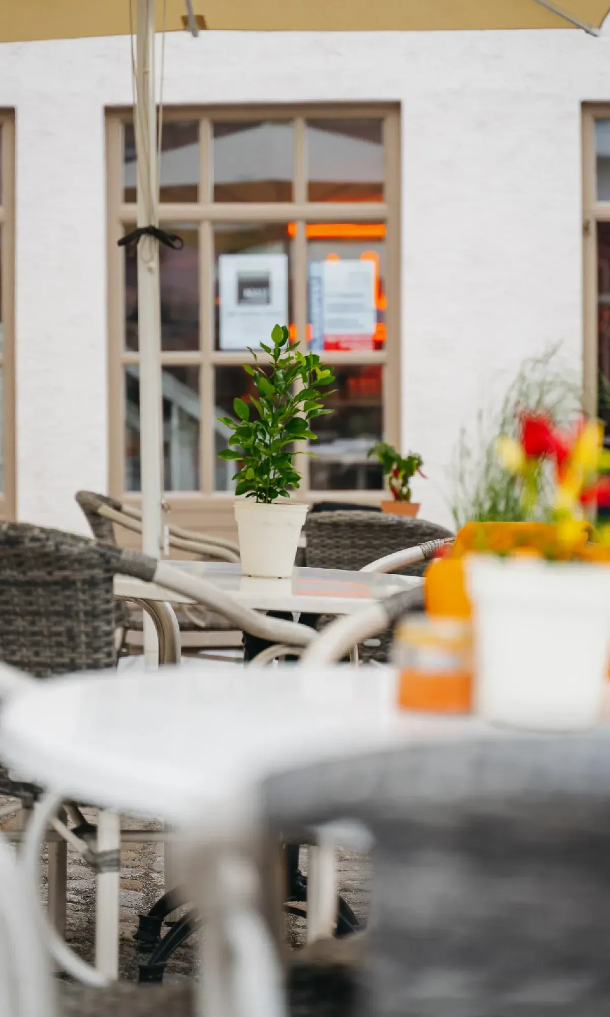 Terrasse von NALI: Rattansessel und weiße Tische unter dem Sonnenschirm, eine kleine Topfpflanze und das Fenster mit NALI-Schriftzug im Hintergrund.
